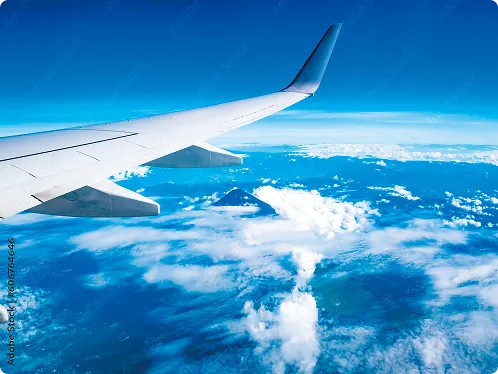 受託試験・振動計測解析サービス概要ページ適用分野飛行機が飛んでいる場面